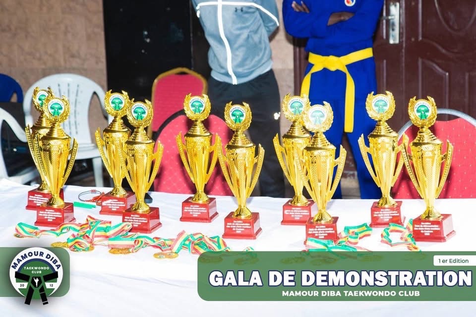 Ouakam célèbre le Taekwondo : retour sur un gala de démonstration d’exception au Monument de la Renaissance - Image 23