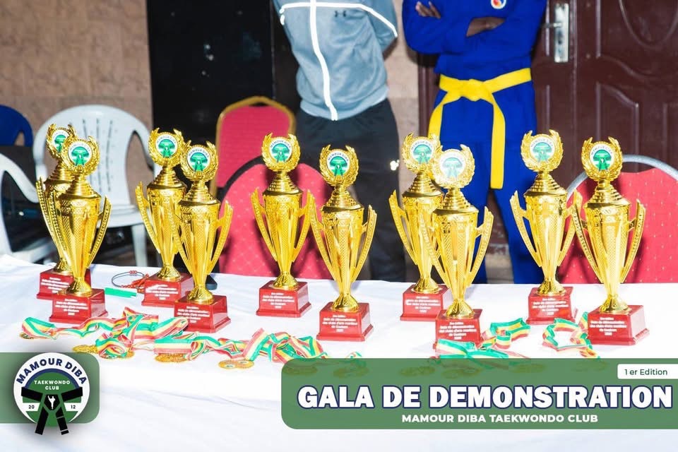 Ouakam célèbre le Taekwondo : retour sur un gala de démonstration d’exception au Monument de la Renaissance - Image 20