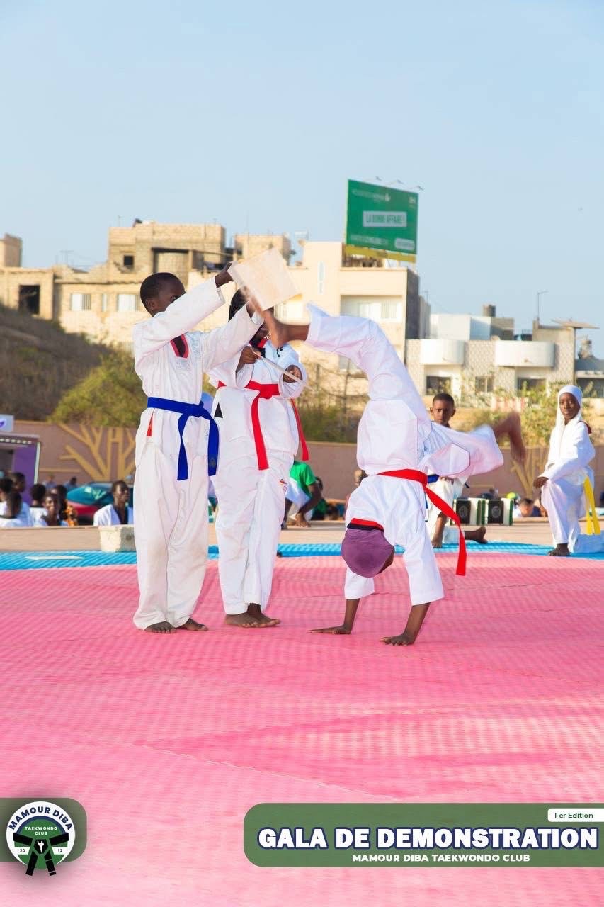 Ouakam célèbre le Taekwondo : retour sur un gala de démonstration d’exception au Monument de la Renaissance - Image 27